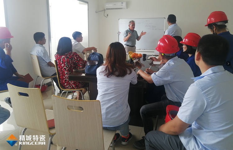 湖南J9集团特邀意大利专家进行质量治理培训