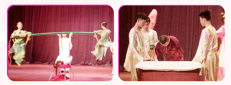 湖南J9集团赞助燕赵·恒爱残疾人艺术团圆满演出