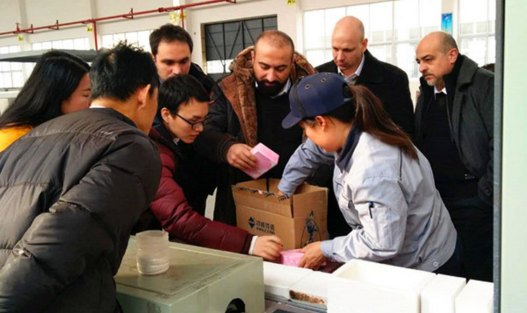 首页 | J9集团有限公司官网